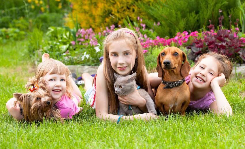 Image Showing Three Smiling Kids Lying on the lawn with their pets